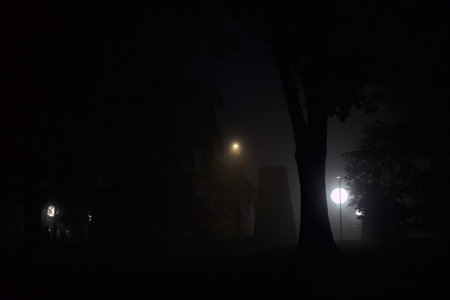 Lights from street lamps in a park on a foggy nightの写真素材