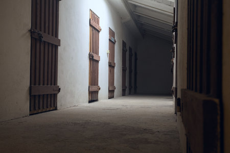 Attic with a narrow corridor and wooden doorsの写真素材