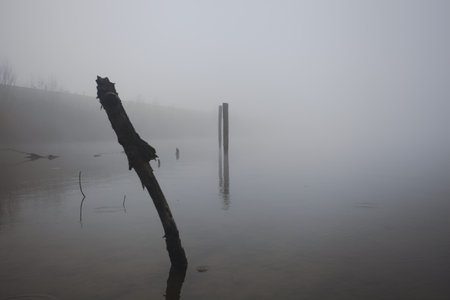 Wooden poles next to the lakeshore with their reflections cast in the water on a foggy day in the Italian countrysideの写真素材