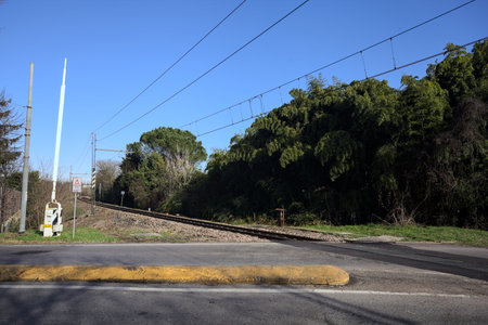 Railroad crossing in a road bordered by trees and hedges on a sunny day