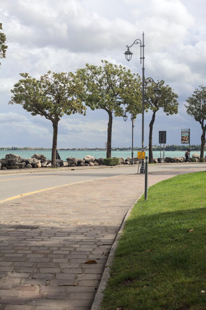 Pathway with trees on it on a road by the lakeshore on a cloudy dayの写真素材