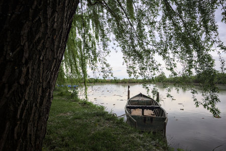 Moored boat next to a willow by the rivershore with the boat and a cloudy sky cast in the waterの写真素材