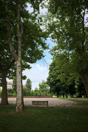 Stone bench by the edge of an opening in a park framed by trees on a sunny day in an Italian townの写真素材