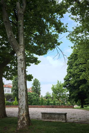 Stone bench by the edge of an opening in a park framed by trees on a sunny day in an Italian townの写真素材