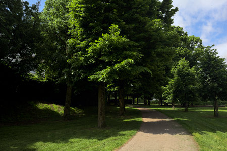 Paved trail in a park bordered by trees partially in the shade on a sunny day