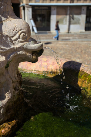 Stone fountain shaped like a fish with flowing water seen up closeの写真素材