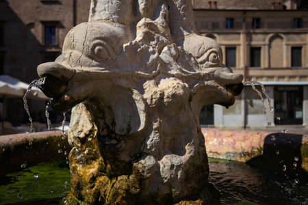 Stone fountain shaped like a fish with flowing water seen up closeの写真素材