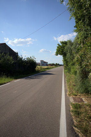 Road bordered by fields and plants in the countryside at sunsetの写真素材