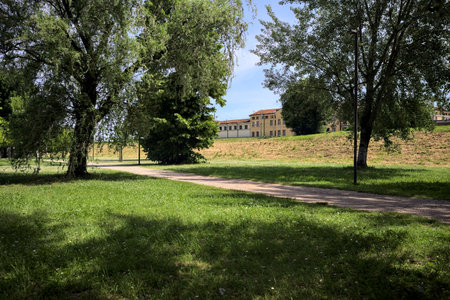 Trail in a park with trees on a lawn and an embankment with a railroad passing behind it on a sunny dayの写真素材