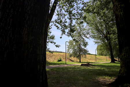 Path in the shade next to an embankment in a park on a sunny day framed by two tree trunksの写真素材
