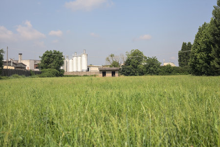 Abandoned concrete shack on a field with an industrial complex in the background on a sunny day in the Italian countrysideの写真素材