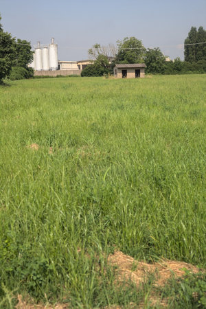 Abandoned concrete shack on a field with an industrial complex in the background on a sunny day in the Italian countrysideの写真素材