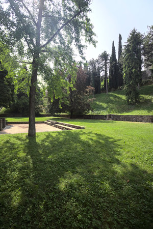 Lawn bordered by trees surrounding it and casting shadows on the ground with remains of a castle behind the treesの写真素材