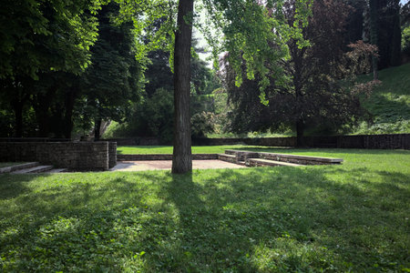 Lawn bordered by trees surrounding it and casting shadows on the ground with remains of a castle behind the treesの写真素材