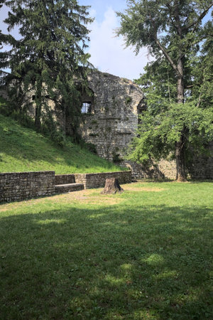 Lawn bordered by trees surrounding it and casting shadows on the ground with remains of a castle behind the treesの写真素材