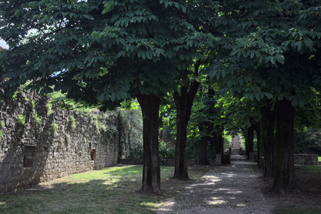Trail in the shade cast by trees in the yard of a castle on a sunny dayの写真素材
