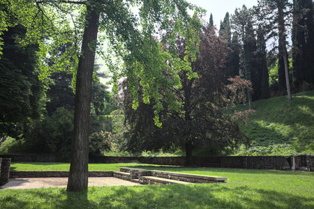 Lawn bordered by trees surrounding it and casting shadows on the ground with remains of a castle behind the treesの写真素材