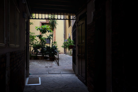 Inner yard of a building with plants in pots framed by a covered passage in the shadeの写真素材