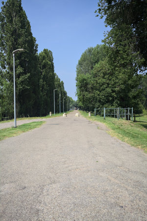 Paved trail on an embankment bordered by poplars in a park on a sunny day with a house next to its beginningの写真素材