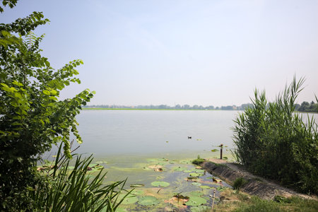 Concrete platform stretching from a river shore with reeds growing by its side on a sunny day in the Italian countrysideの写真素材