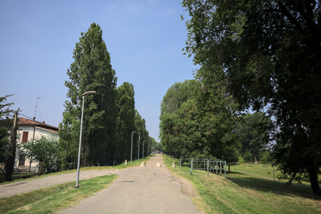 Paved trail on an embankment bordered by poplars in a park on a sunny day with a house next to its beginningの写真素材
