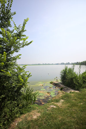 Concrete platform stretching from a river shore with reeds growing by its side on a sunny day in the Italian countrysideの写真素材