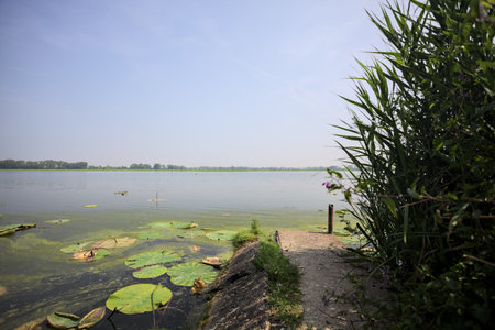 Concrete platform stretching from a river shore with reeds growing by its side on a sunny day in the Italian countrysideの写真素材