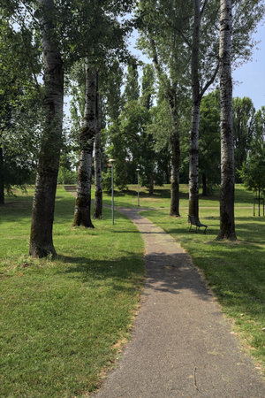 Trail bordered by poplars casting shadows on the ground next to meadows in a park on a sunny dayの写真素材