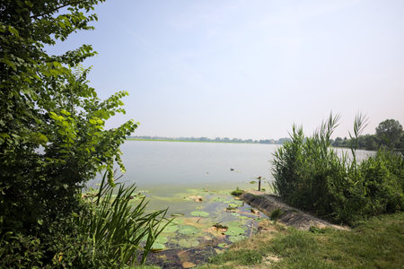 Concrete platform stretching from a river shore with reeds growing by its side on a sunny day in the Italian countrysideの写真素材