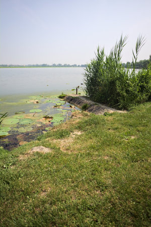 Concrete platform stretching from a river shore with reeds growing by its side on a sunny day in the Italian countrysideの写真素材