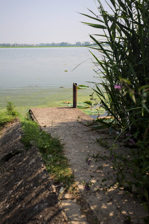 Concrete platform stretching from a river shore with reeds growing by its side on a sunny day in the Italian countrysideの写真素材