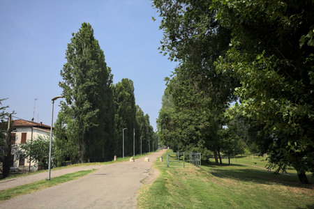 Paved trail on an embankment bordered by poplars in a park on a sunny day with a house next to its beginningの写真素材
