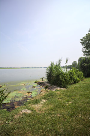 Concrete platform stretching from a river shore with reeds growing by its side on a sunny day in the Italian countrysideの写真素材