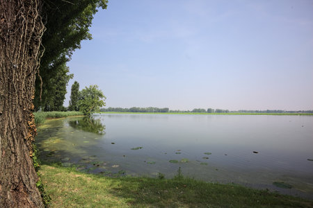 River shore in a park in the Italian countryside on a sunny day with a tree in the distance casting its reflection on the water framed by a treeの写真素材
