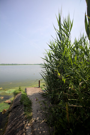 Concrete platform stretching from a river shore with reeds growing by its side on a sunny day in the Italian countrysideの写真素材