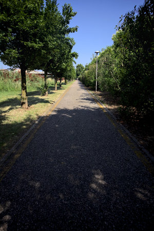 Bike lane bordered by trees in a residential area of the Italian countryside on a sunny day