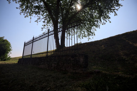 Silhouette of a tree on the top of an embankment seen from below and behind the remains of a fence