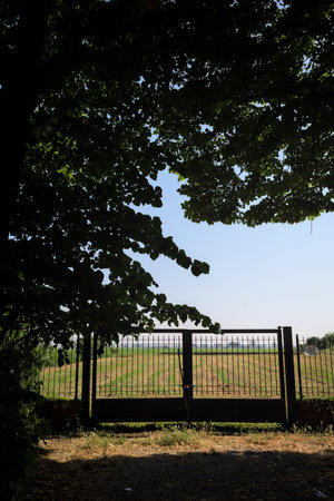 Gate in a fence at the edge of a field on a sunny day in the Italian countryside framed by trees in the shadeの写真素材