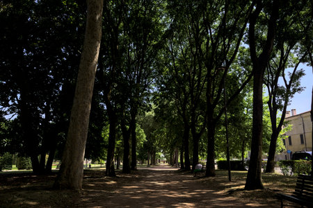 Trail in the shade cast by the tree canopy in a park of an Italian town on a sunny dayの写真素材