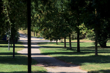 Path dotted by the shadows of the trees at its border in a park on a sunny day