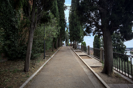 Paved trail between cypresses in a park on a hill on a sunny dayの写真素材