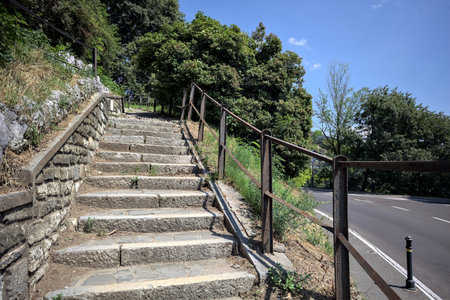 Staircase next to a curve in a road on a cliff with a forest surrounding the scene on a sunny day