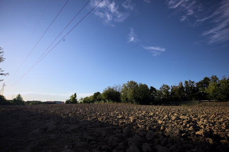 Plowed field bordered by a grove and a trail with plants and a mast with an overhead powerline over...