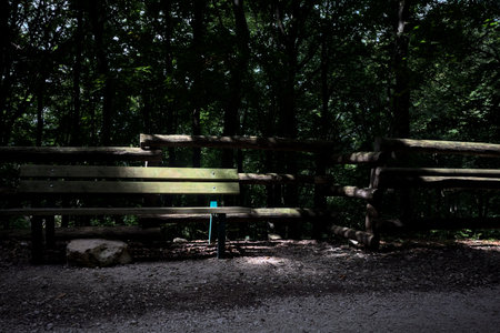 Bench by the edge of a trail in the shade in a groveの写真素材