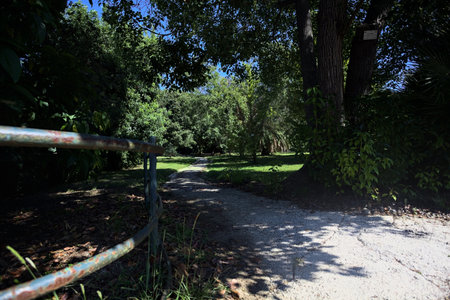 Narrow trail in the shade made by trees and bordered by a metallic rail in a park on a sunny day...