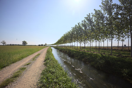 Dirt trail making a bend in the distance next to a meadow and bordered by a stream of water and a row of trees on a sunny day in the Italian countrysideの写真素材