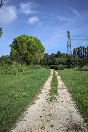 Rock trail in a park with trees bordering it and an electricity mast in the background on a sunny day in the Italian countrysideの写真素材