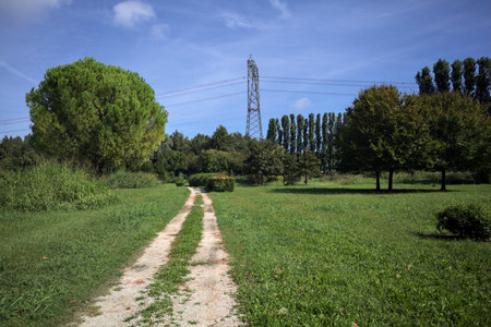 Rock trail in a park with trees bordering it and an electricity mast in the background on a sunny day in the Italian countrysideの写真素材