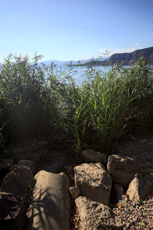 Rock beach with reeds by the lakeshore and boats floating afar on a sunny dayの写真素材