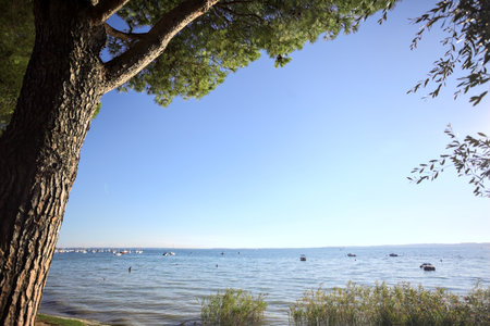 Grass beach with reeds by the shore of a lake and a mountain ridge on the horizon on a sunny dayの写真素材